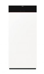 Viessmann Gasbrennwert-Kompaktmodul Vitodens 222-F 11/19/25/32 kW Ladespeicher