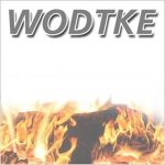 Wodtke Fire SL Glas white Kaminofen drehbar 7,5 kW 098 603